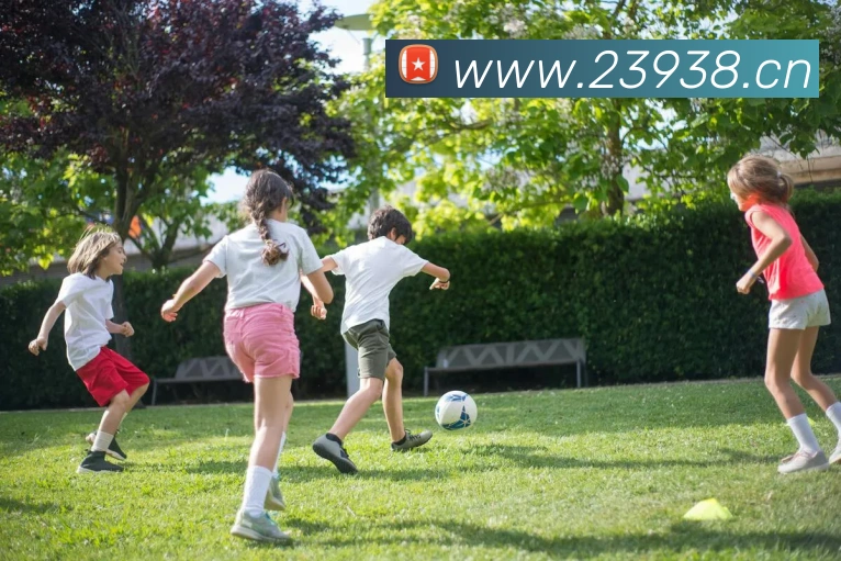 巅峰国际pg登录入口平台生态图